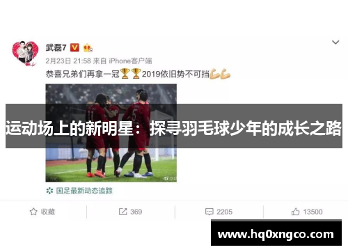 运动场上的新明星:探寻羽毛球少年的成长之路